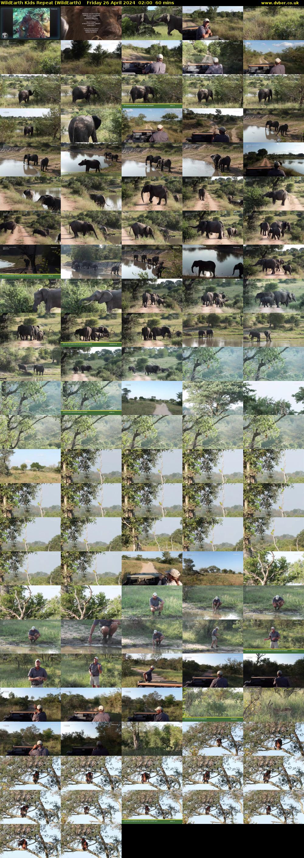 WildEarth Kids Repeat (WildEarth) Friday 26 April 2024 02:00 - 03:00
