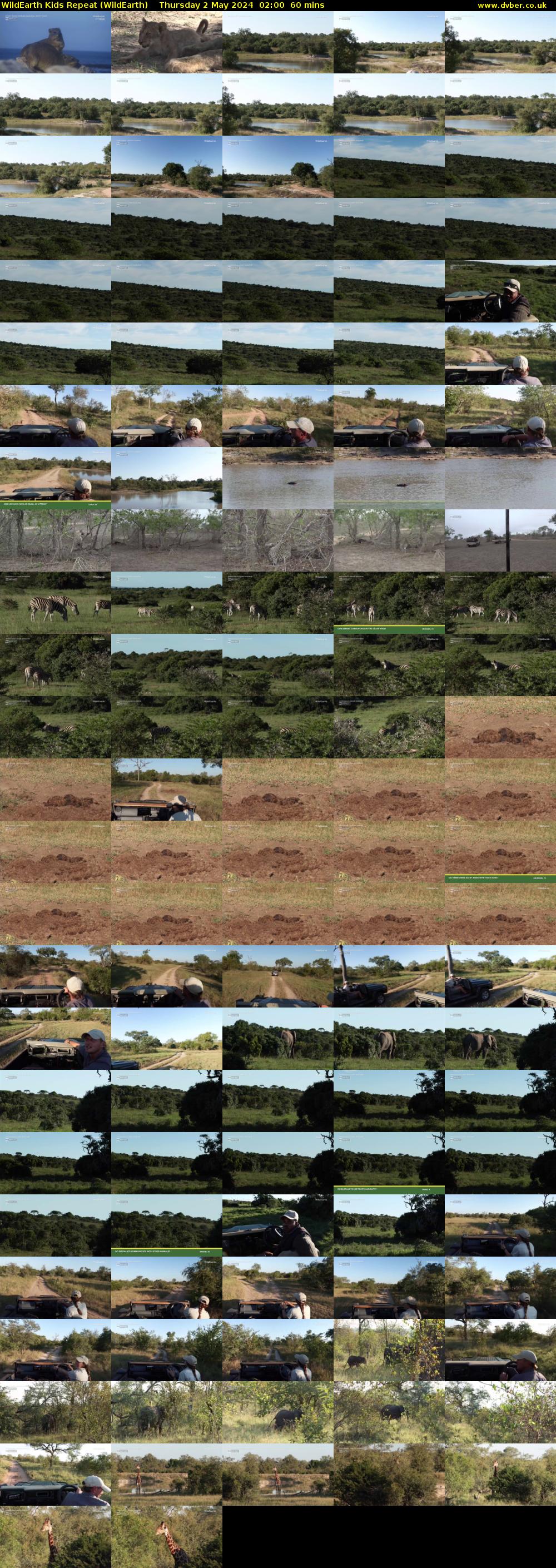 WildEarth Kids Repeat (WildEarth) Thursday 2 May 2024 02:00 - 03:00