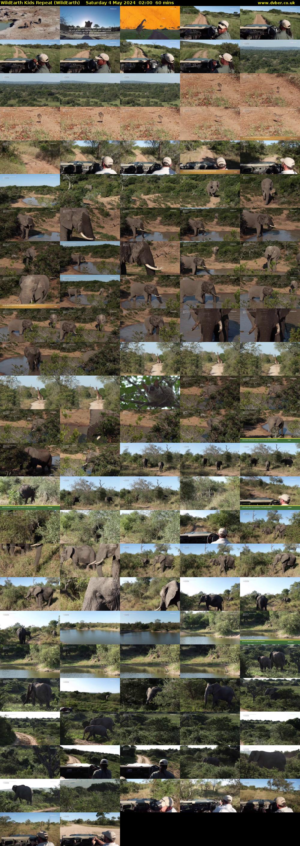 WildEarth Kids Repeat (WildEarth) Saturday 4 May 2024 02:00 - 03:00