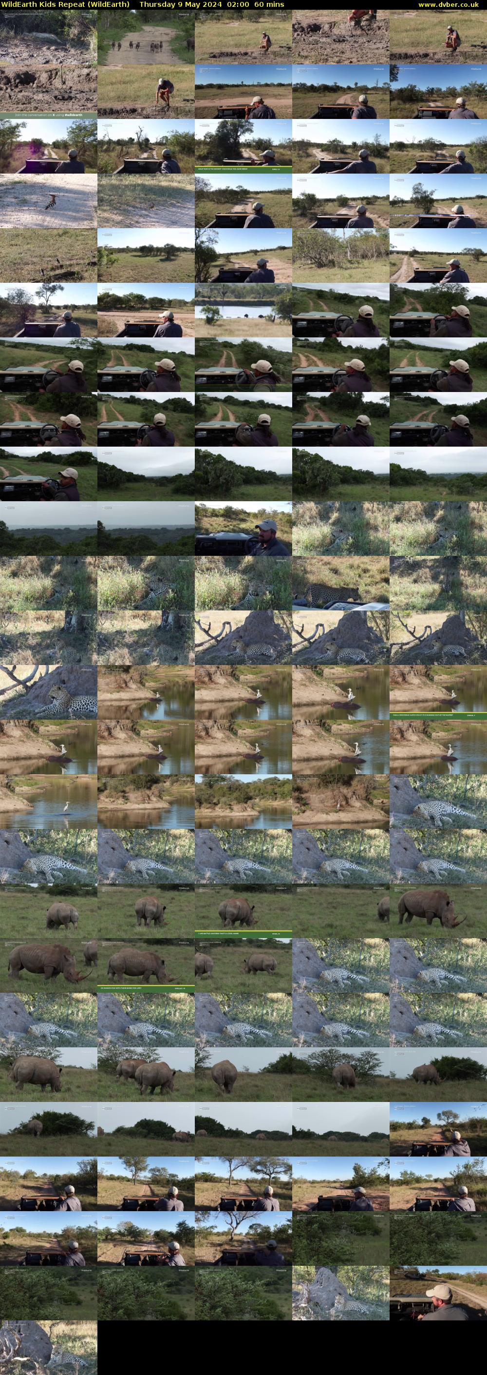 WildEarth Kids Repeat (WildEarth) Thursday 9 May 2024 02:00 - 03:00