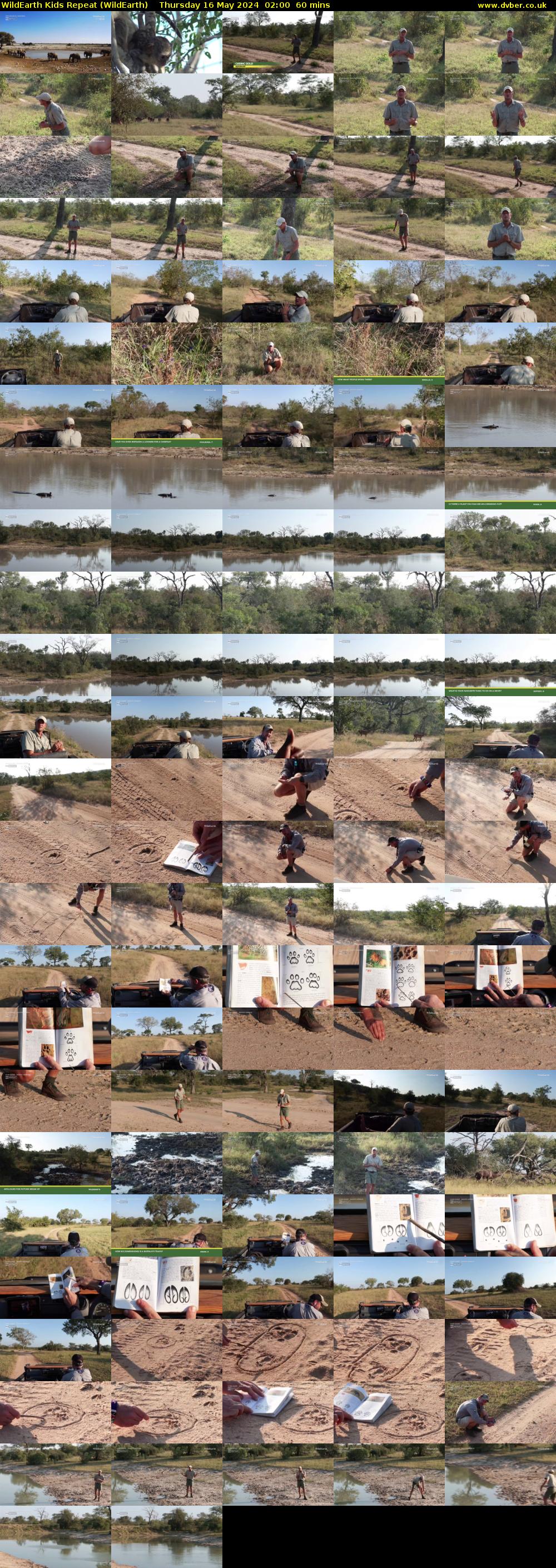 WildEarth Kids Repeat (WildEarth) Thursday 16 May 2024 02:00 - 03:00
