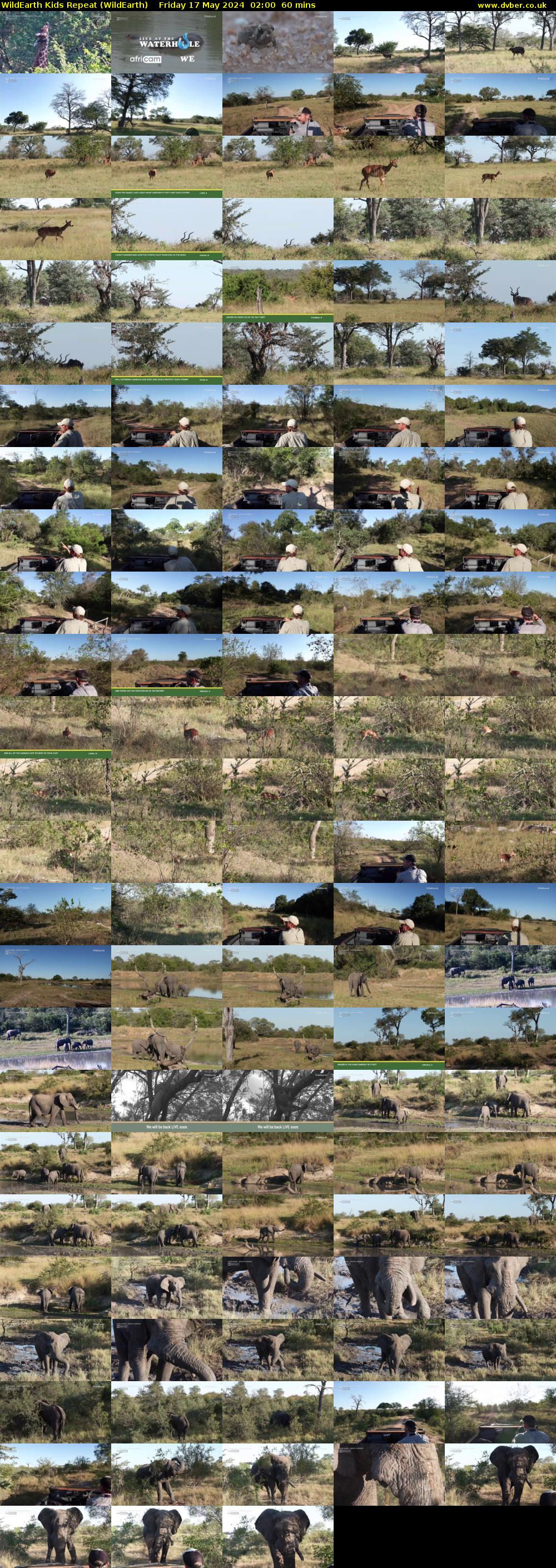 WildEarth Kids Repeat (WildEarth) Friday 17 May 2024 02:00 - 03:00