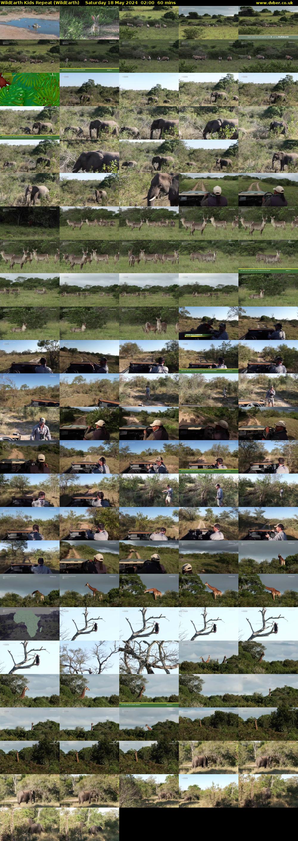 WildEarth Kids Repeat (WildEarth) Saturday 18 May 2024 02:00 - 03:00