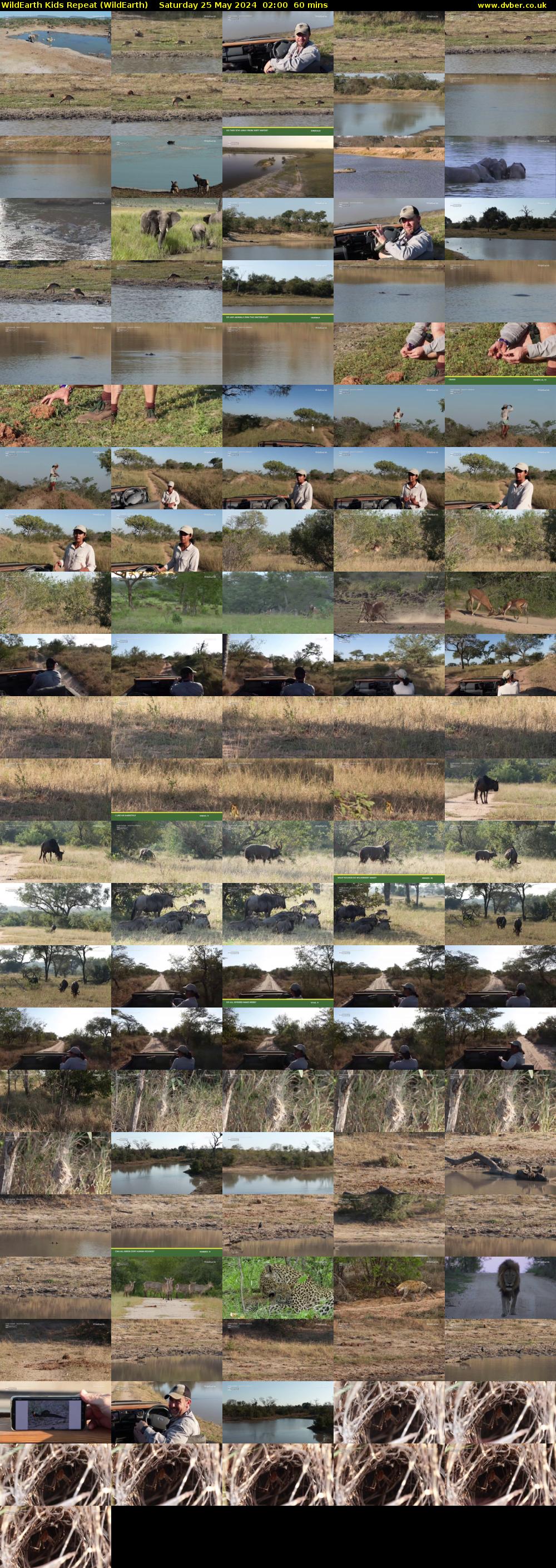 WildEarth Kids Repeat (WildEarth) Saturday 25 May 2024 02:00 - 03:00