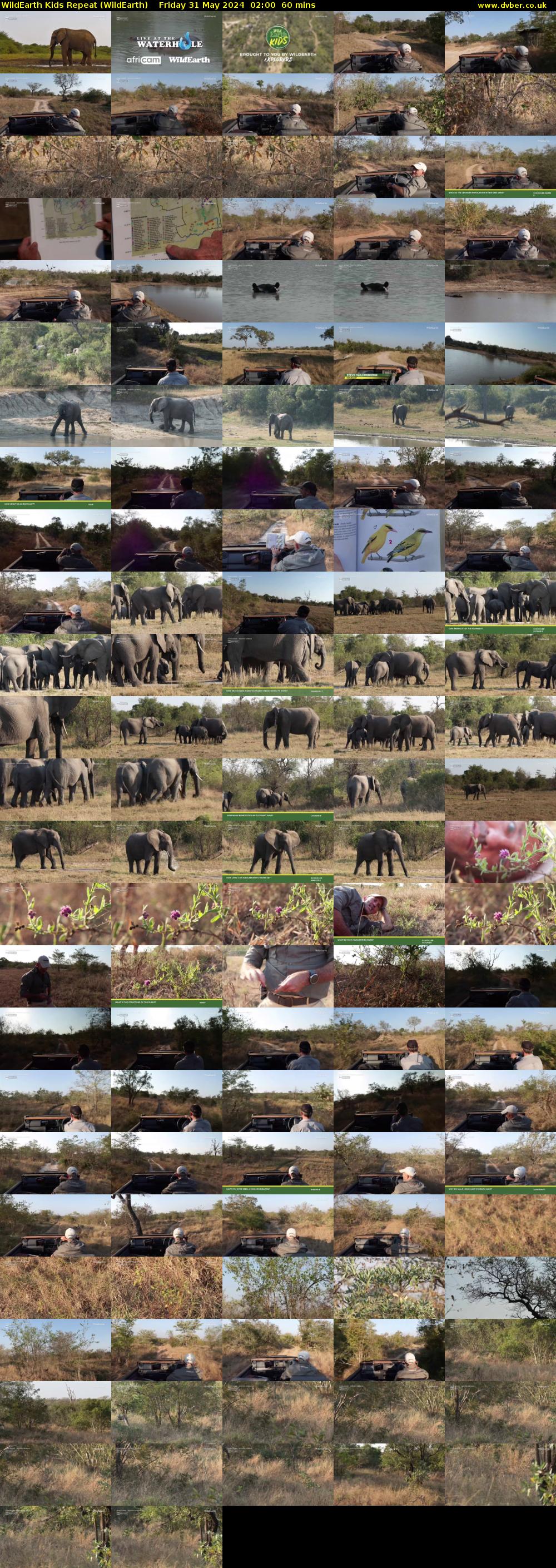 WildEarth Kids Repeat (WildEarth) Friday 31 May 2024 02:00 - 03:00
