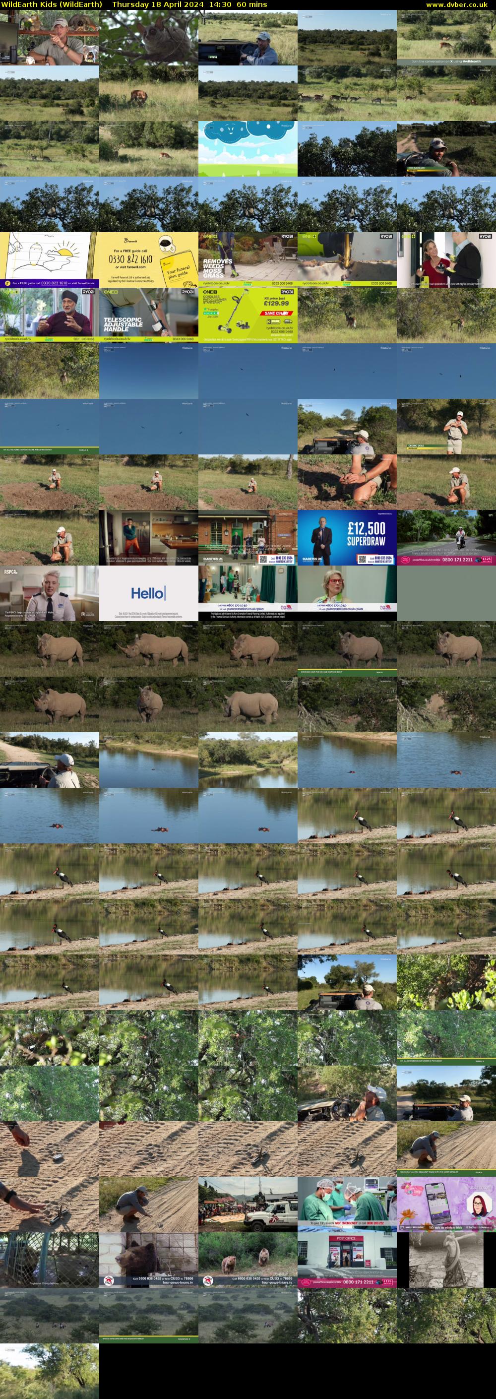 WildEarth Kids (WildEarth) Thursday 18 April 2024 14:30 - 15:30