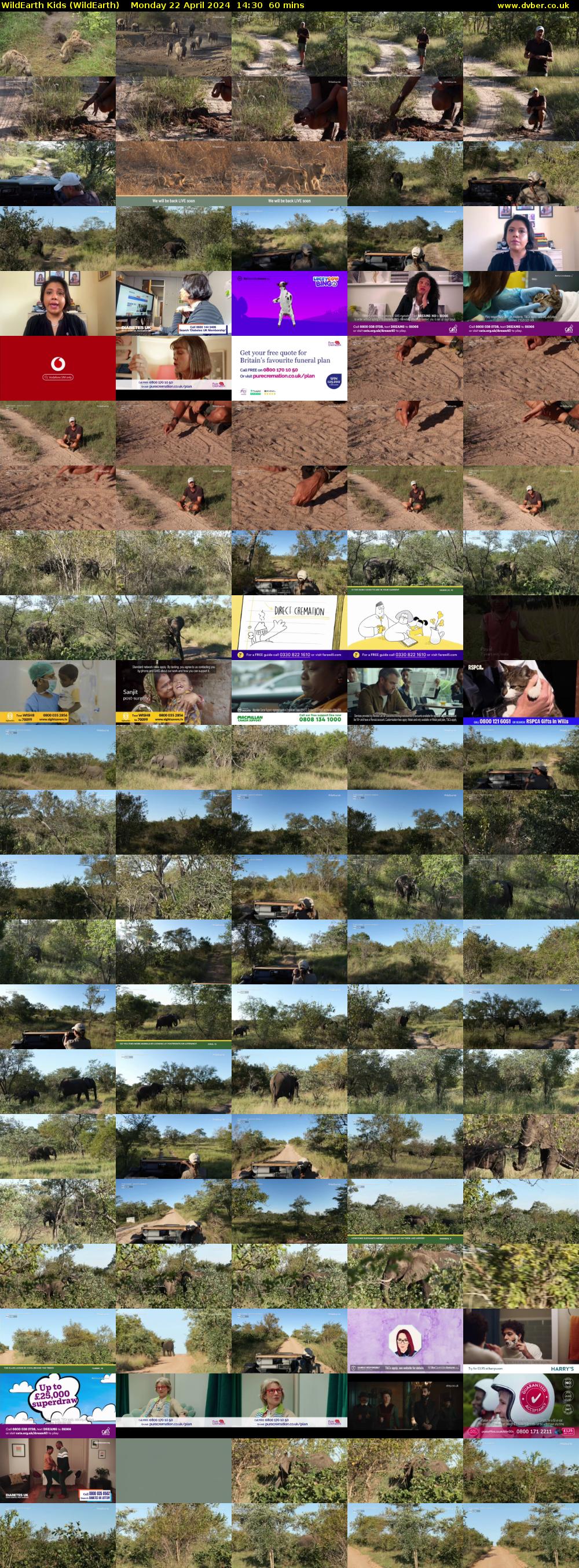 WildEarth Kids (WildEarth) Monday 22 April 2024 14:30 - 15:30