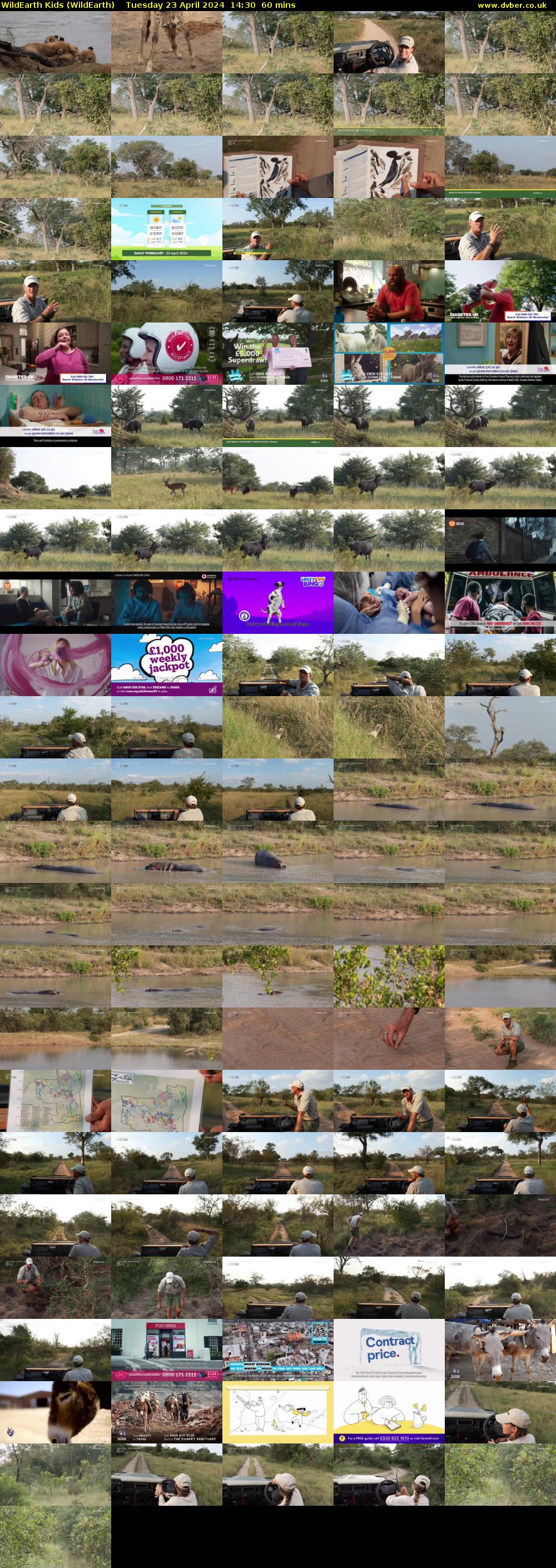 WildEarth Kids (WildEarth) Tuesday 23 April 2024 14:30 - 15:30