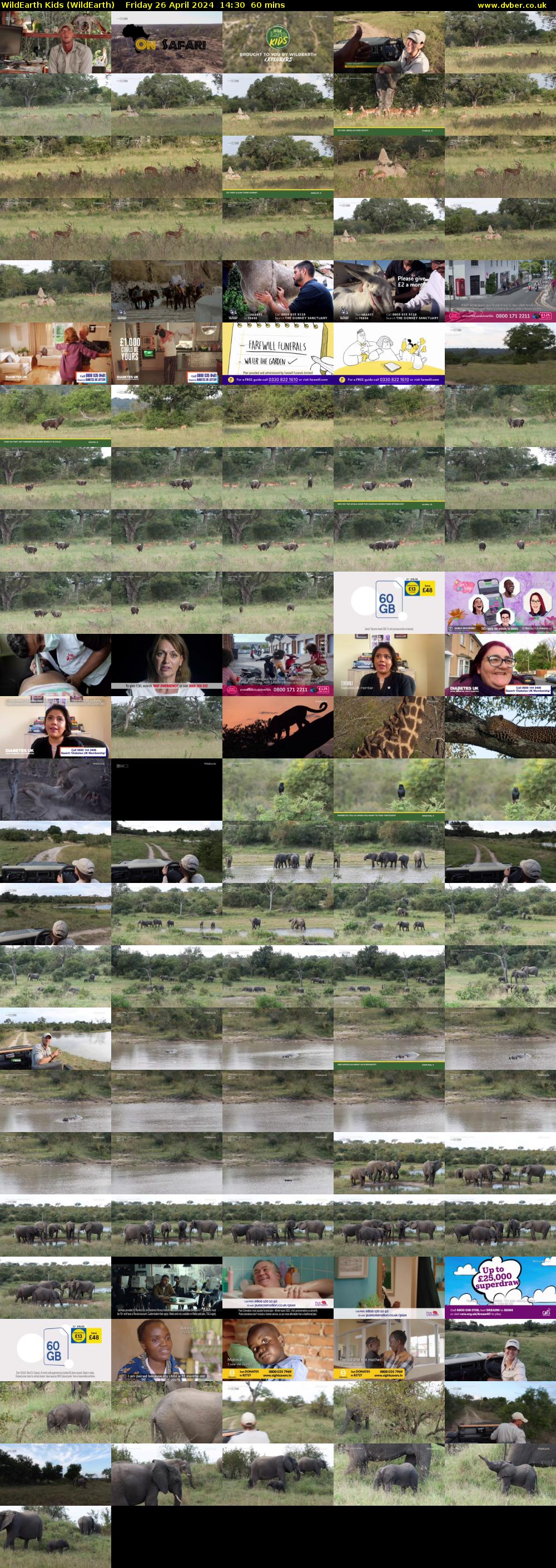 WildEarth Kids (WildEarth) Friday 26 April 2024 14:30 - 15:30