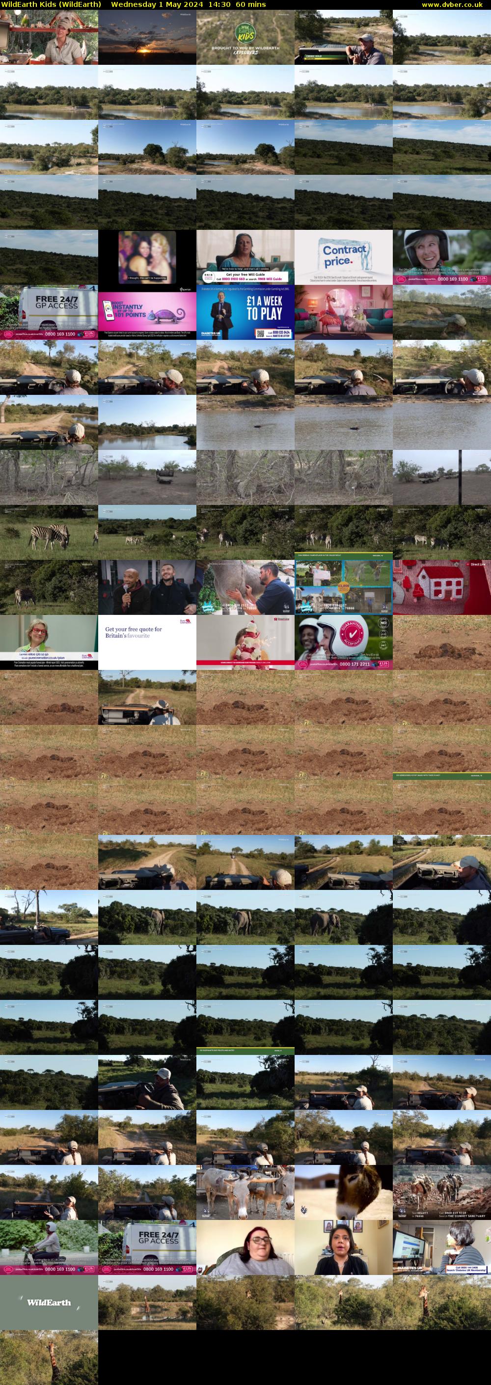 WildEarth Kids (WildEarth) Wednesday 1 May 2024 14:30 - 15:30
