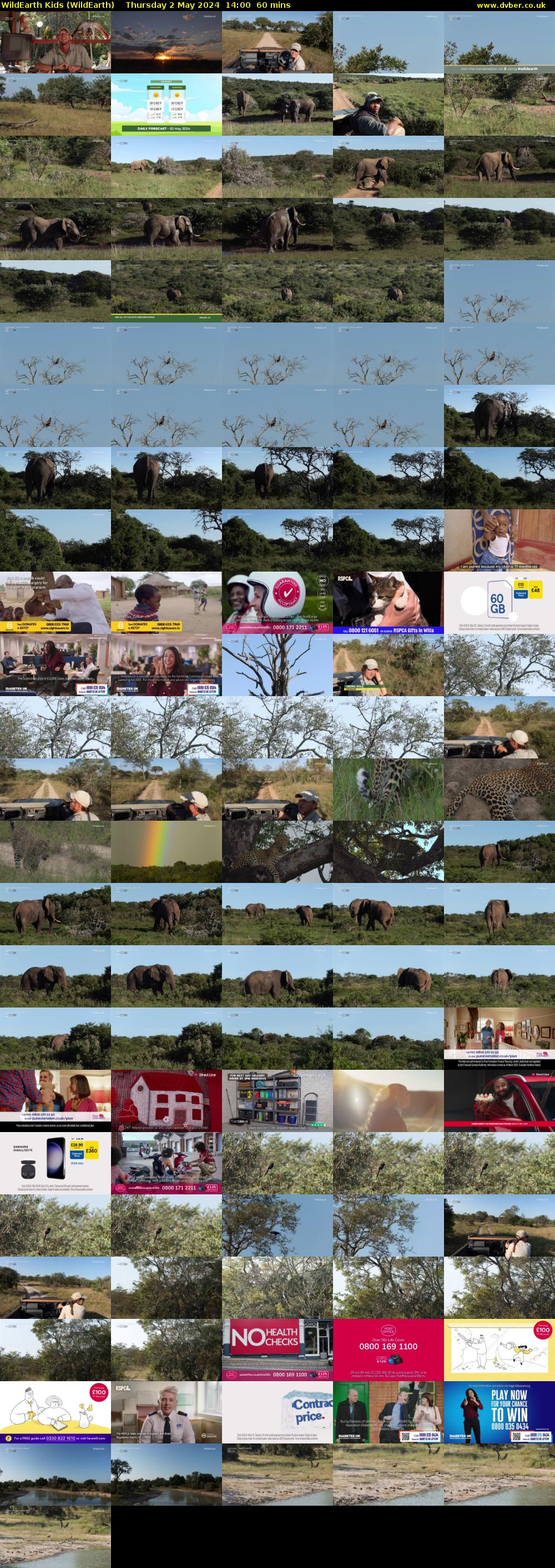 WildEarth Kids (WildEarth) Thursday 2 May 2024 14:00 - 15:00