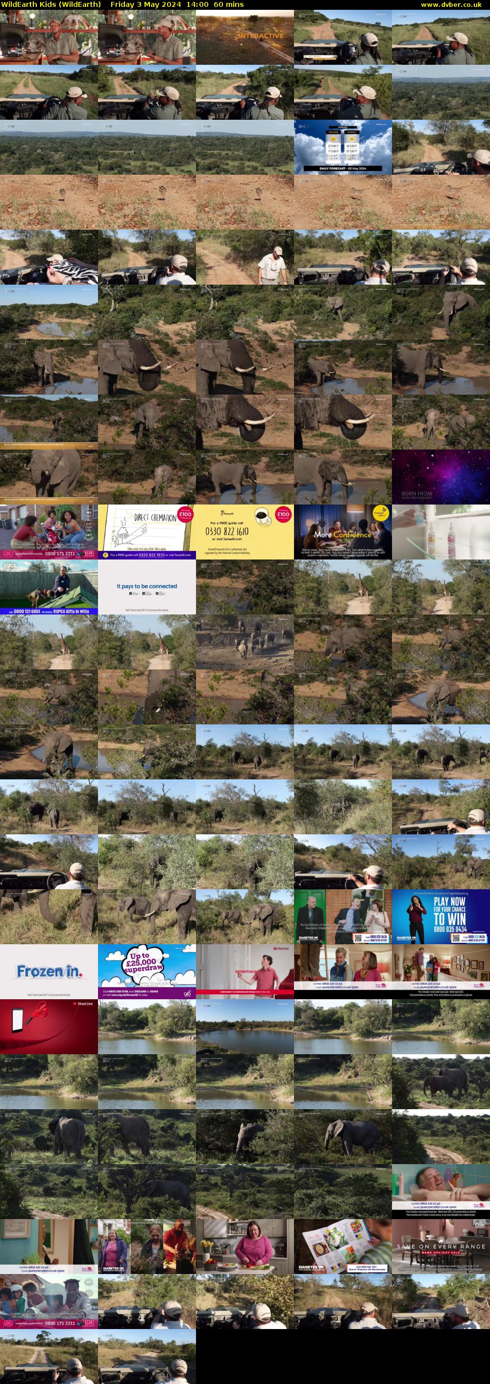 WildEarth Kids (WildEarth) Friday 3 May 2024 14:00 - 15:00