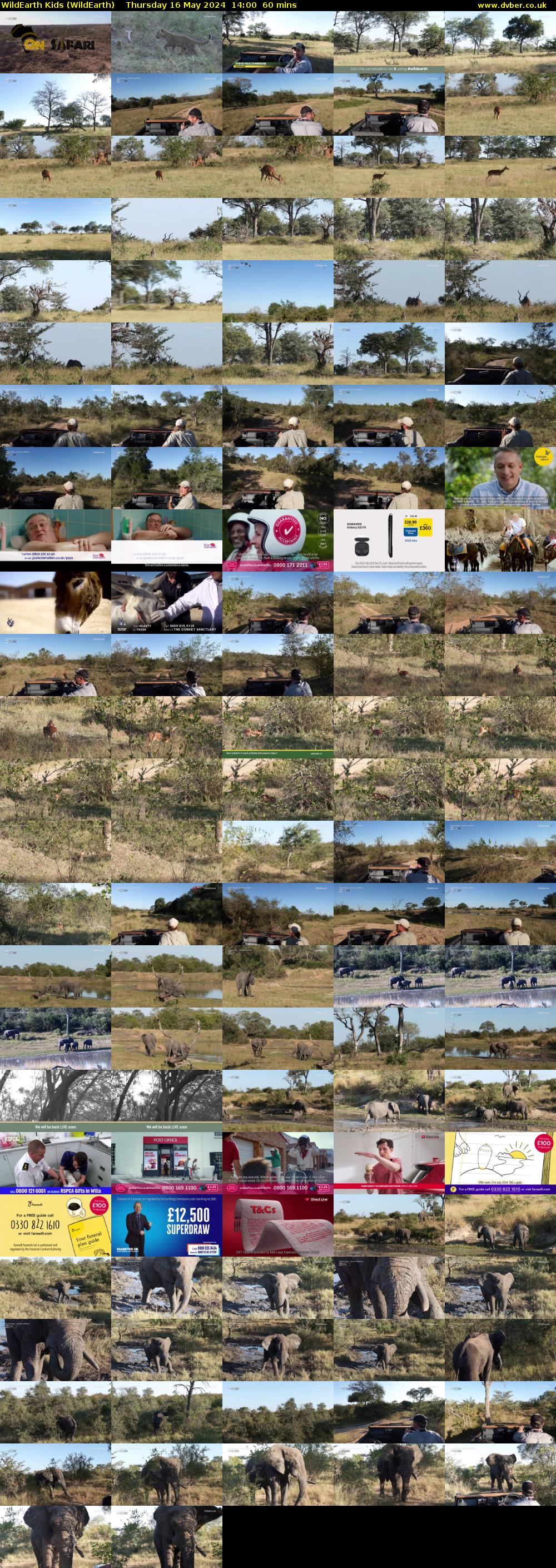 WildEarth Kids (WildEarth) Thursday 16 May 2024 14:00 - 15:00