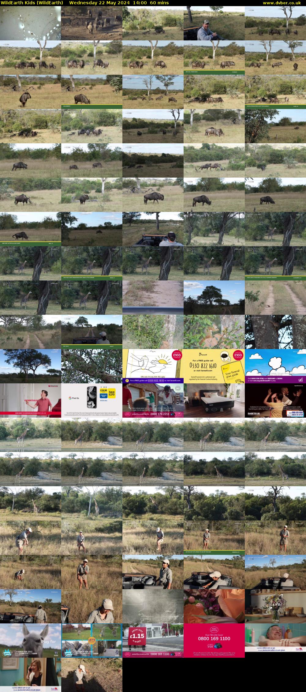 WildEarth Kids (WildEarth) Wednesday 22 May 2024 14:00 - 15:00
