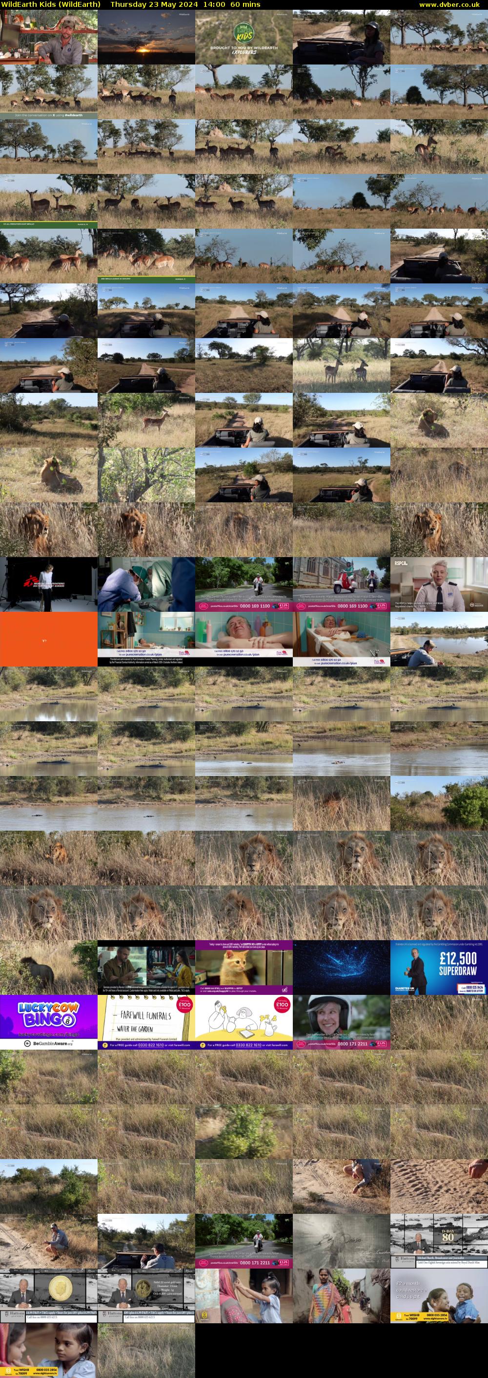 WildEarth Kids (WildEarth) Thursday 23 May 2024 14:00 - 15:00