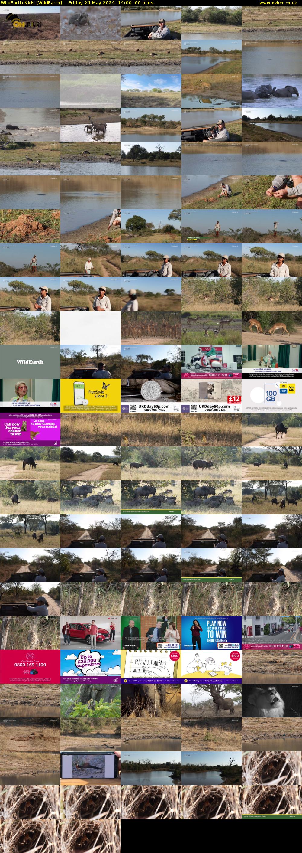 WildEarth Kids (WildEarth) Friday 24 May 2024 14:00 - 15:00