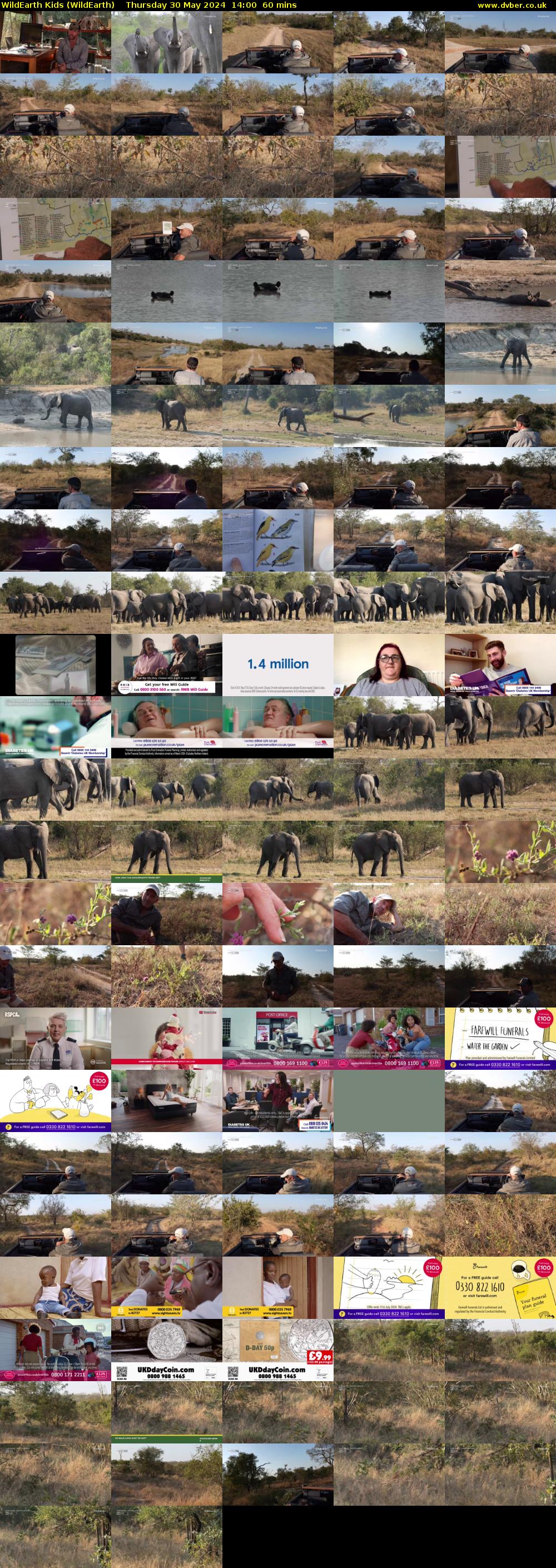 WildEarth Kids (WildEarth) Thursday 30 May 2024 14:00 - 15:00