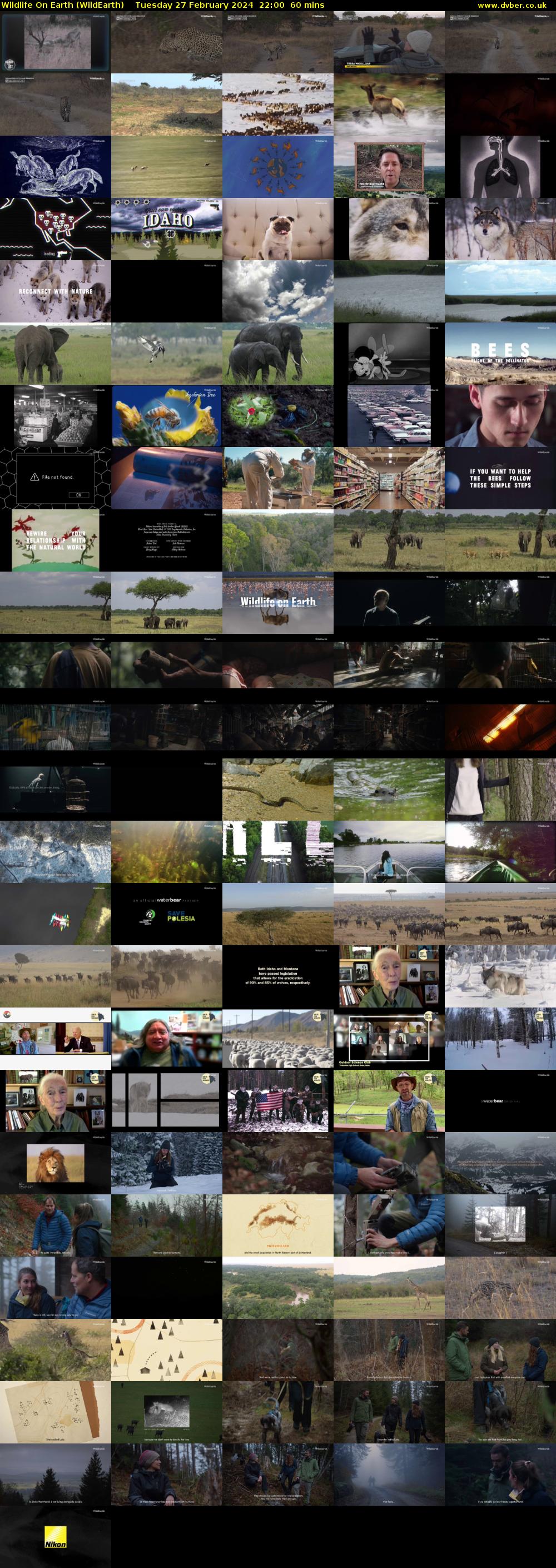 Wildlife On Earth (WildEarth) Tuesday 27 February 2024 22:00 - 23:00