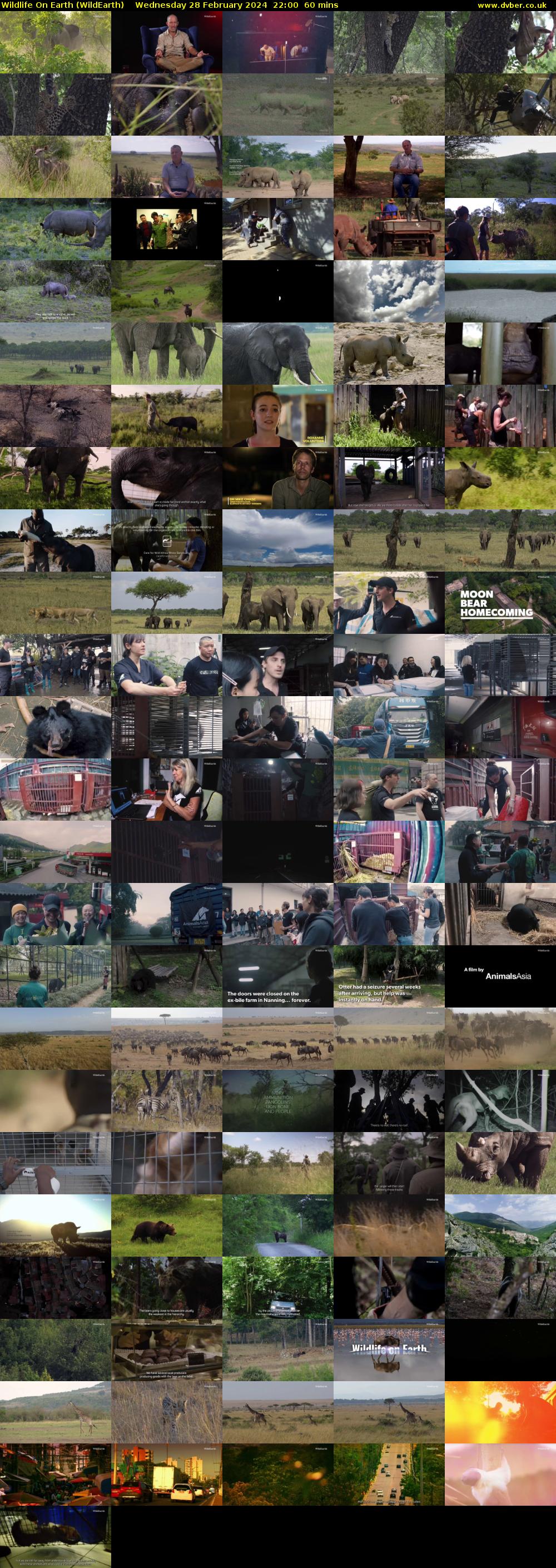Wildlife On Earth (WildEarth) Wednesday 28 February 2024 22:00 - 23:00
