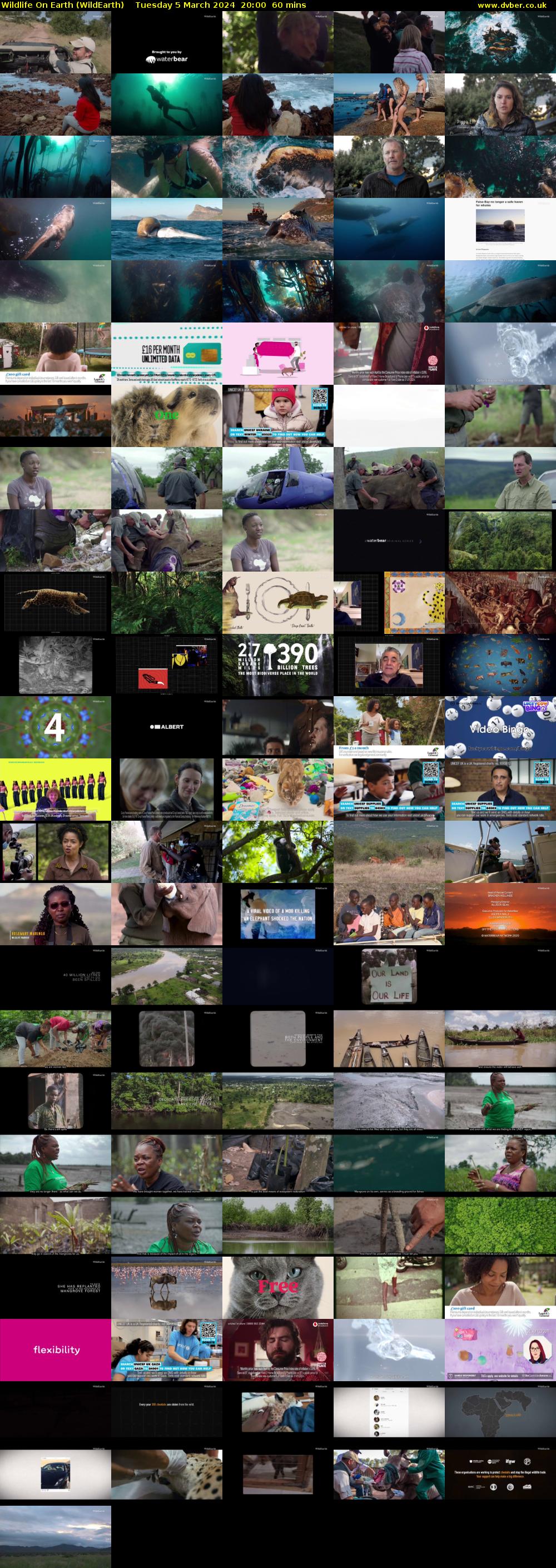 Wildlife On Earth (WildEarth) Tuesday 5 March 2024 20:00 - 21:00