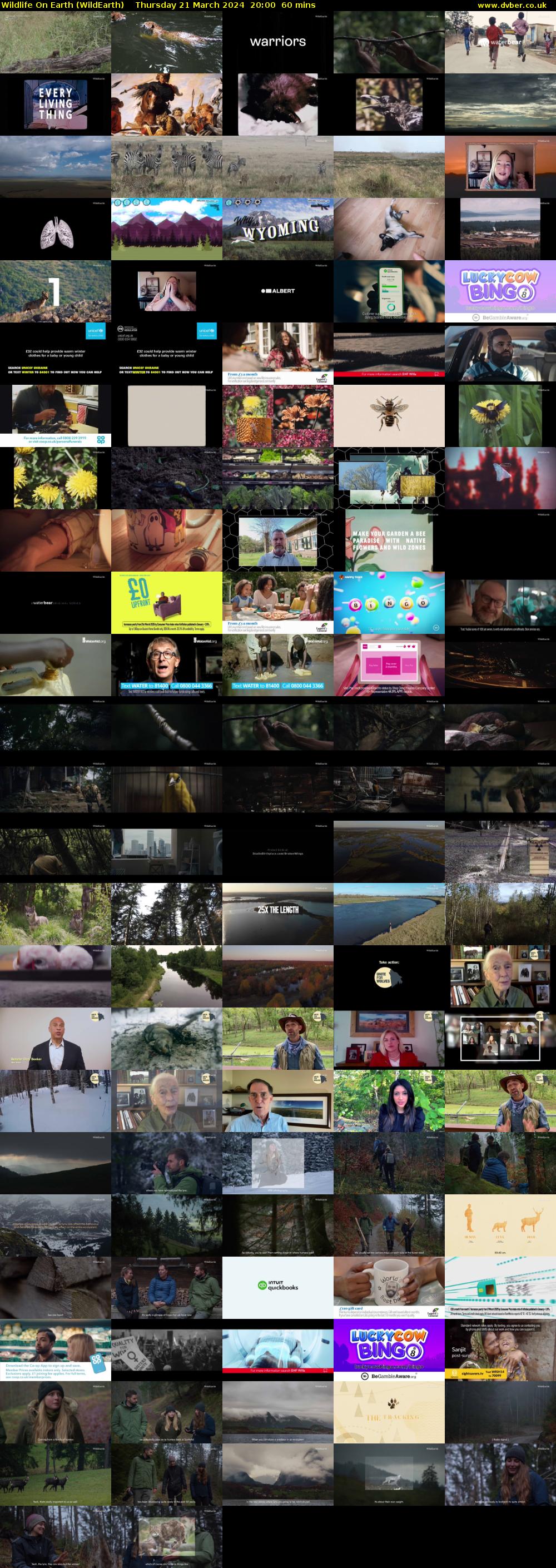 Wildlife On Earth (WildEarth) Thursday 21 March 2024 20:00 - 21:00