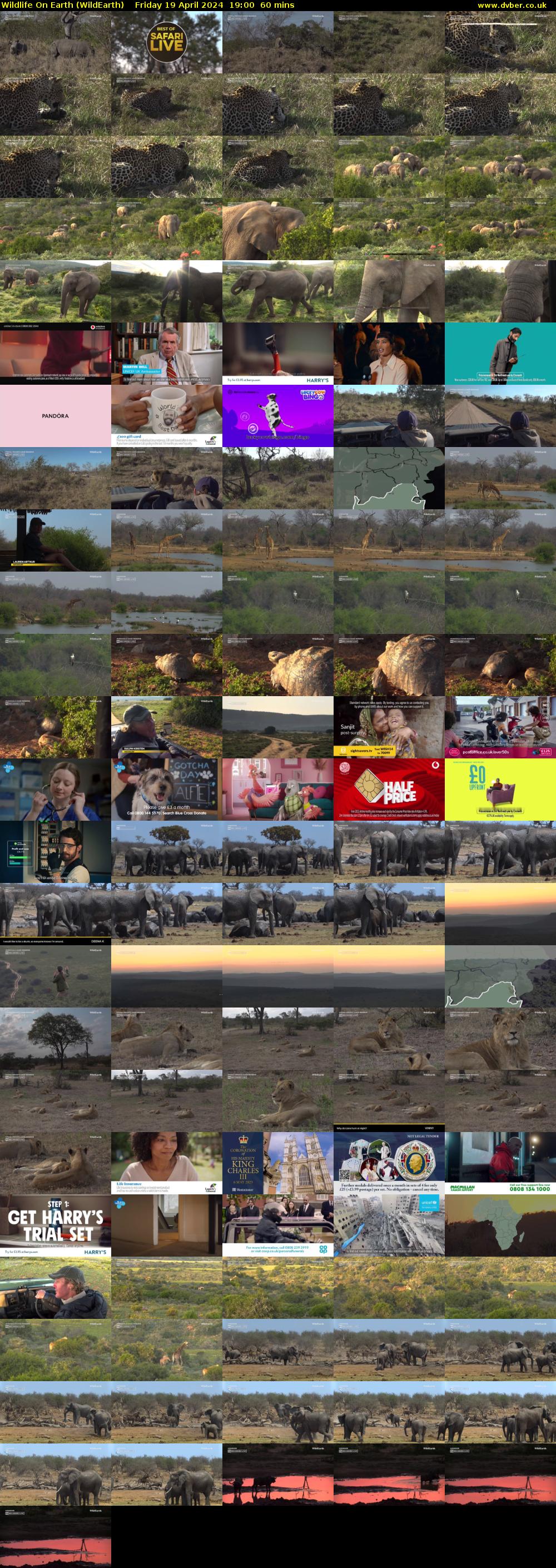 Wildlife On Earth (WildEarth) Friday 19 April 2024 19:00 - 20:00