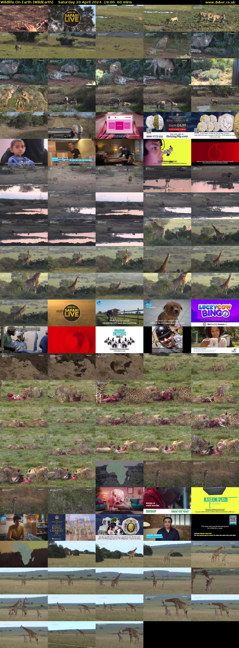 Wildlife On Earth (WildEarth) Saturday 20 April 2024 19:00 - 20:00