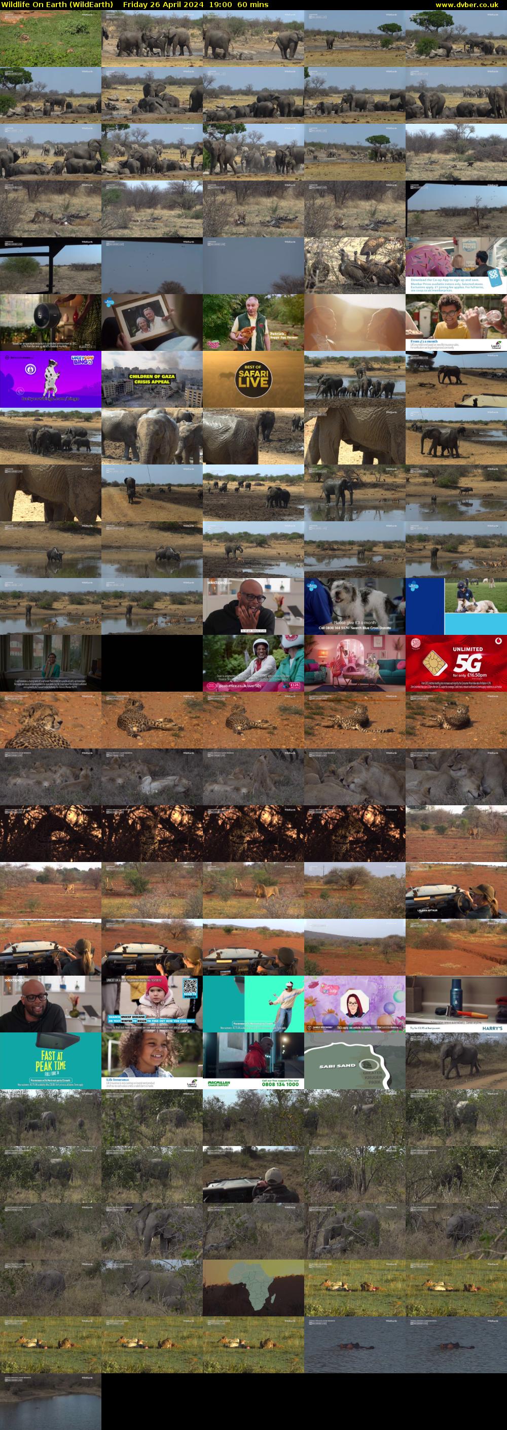 Wildlife On Earth (WildEarth) Friday 26 April 2024 19:00 - 20:00