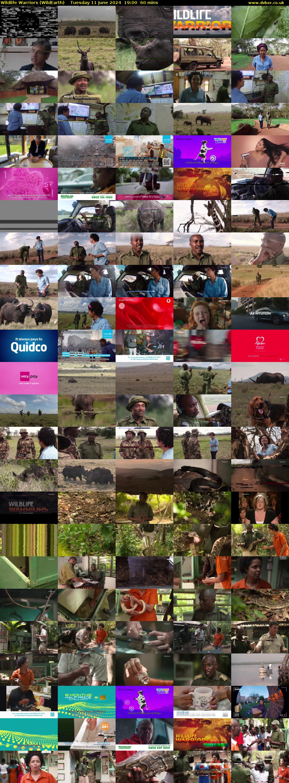 Wildlife Warriors (WildEarth) Tuesday 11 June 2024 19:00 - 20:00