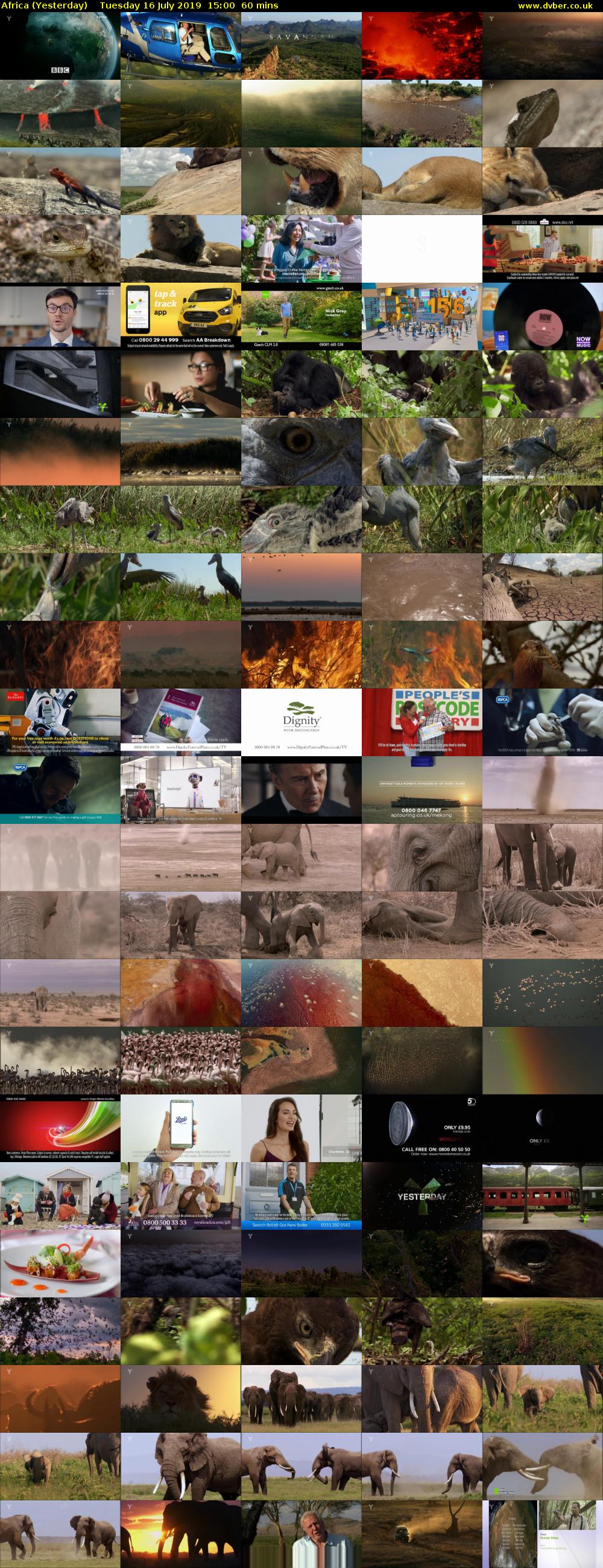 Africa (Yesterday) Tuesday 16 July 2019 15:00 - 16:00
