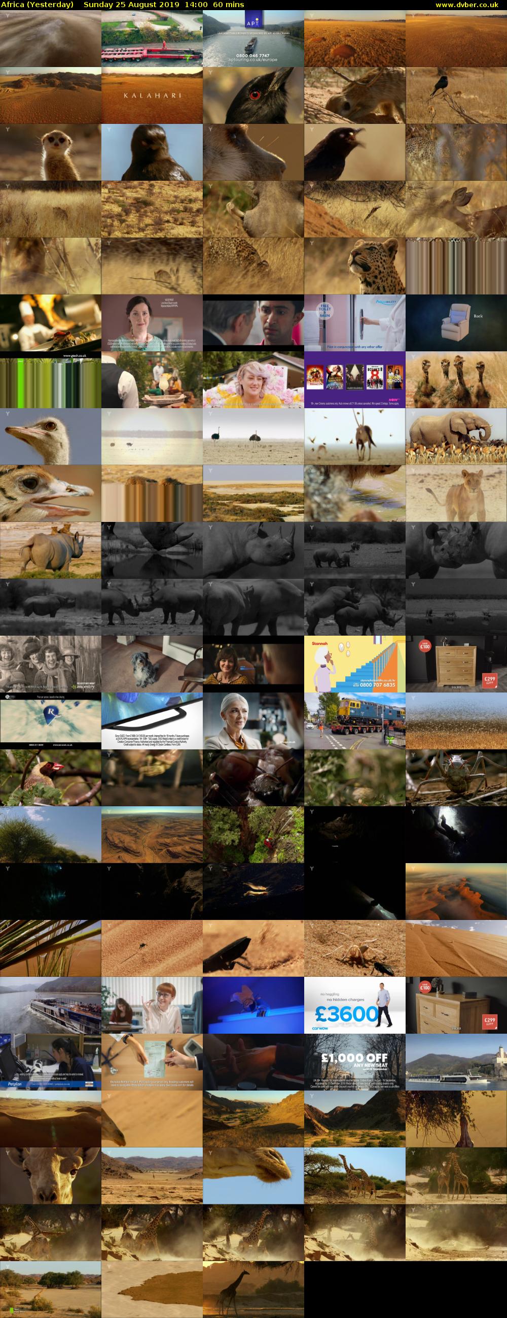 Africa (Yesterday) Sunday 25 August 2019 14:00 - 15:00