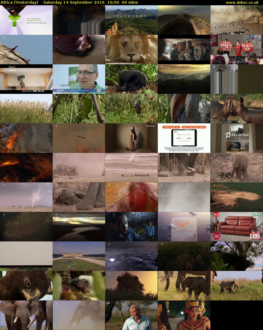 Africa (Yesterday) Saturday 14 September 2019 16:00 - 17:00