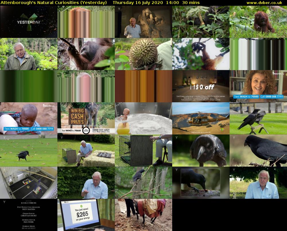 Attenborough's Natural Curiosities (Yesterday) Thursday 16 July 2020 14:00 - 14:30