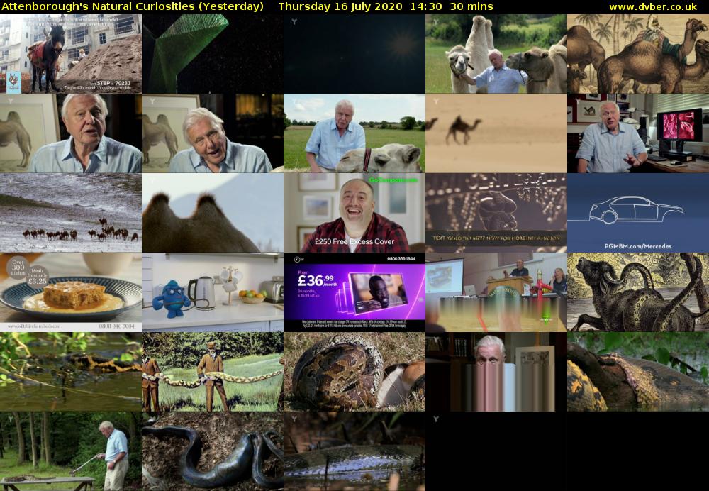 Attenborough's Natural Curiosities (Yesterday) Thursday 16 July 2020 14:30 - 15:00