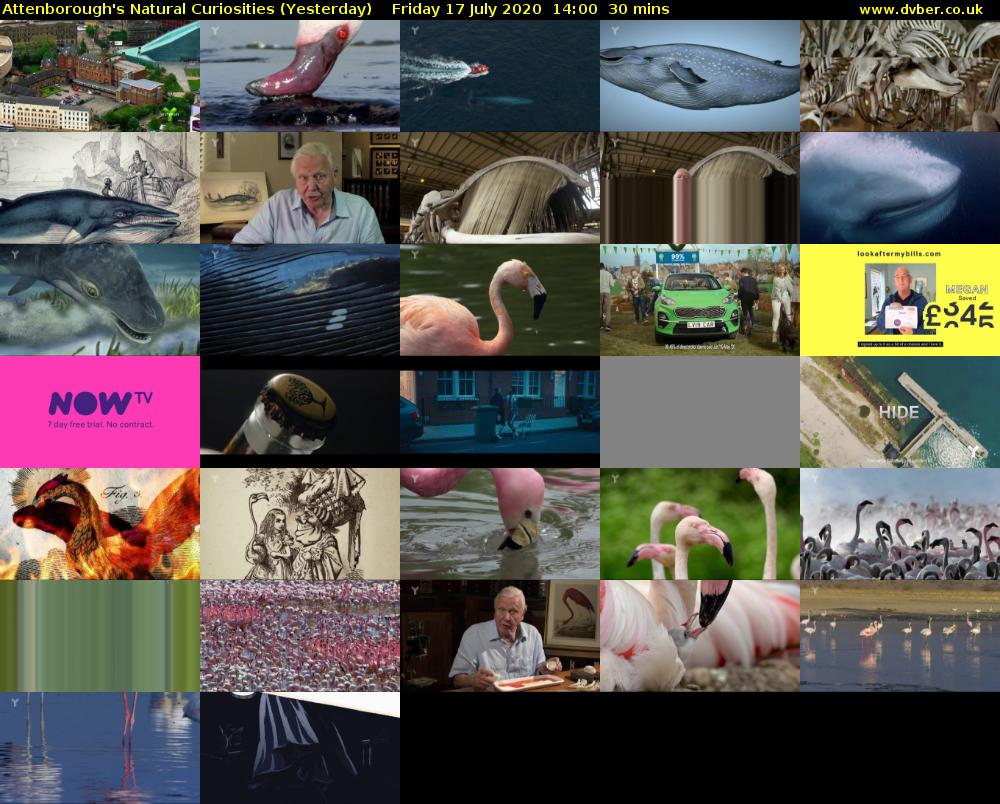 Attenborough's Natural Curiosities (Yesterday) Friday 17 July 2020 14:00 - 14:30