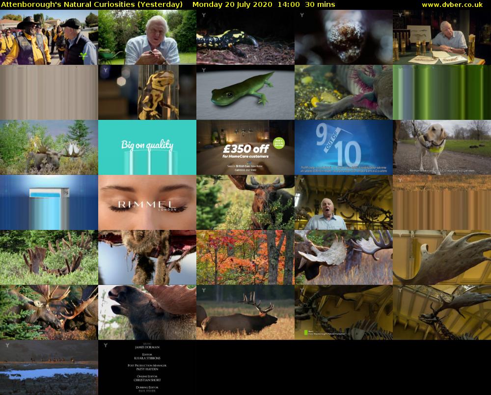 Attenborough's Natural Curiosities (Yesterday) Monday 20 July 2020 14:00 - 14:30