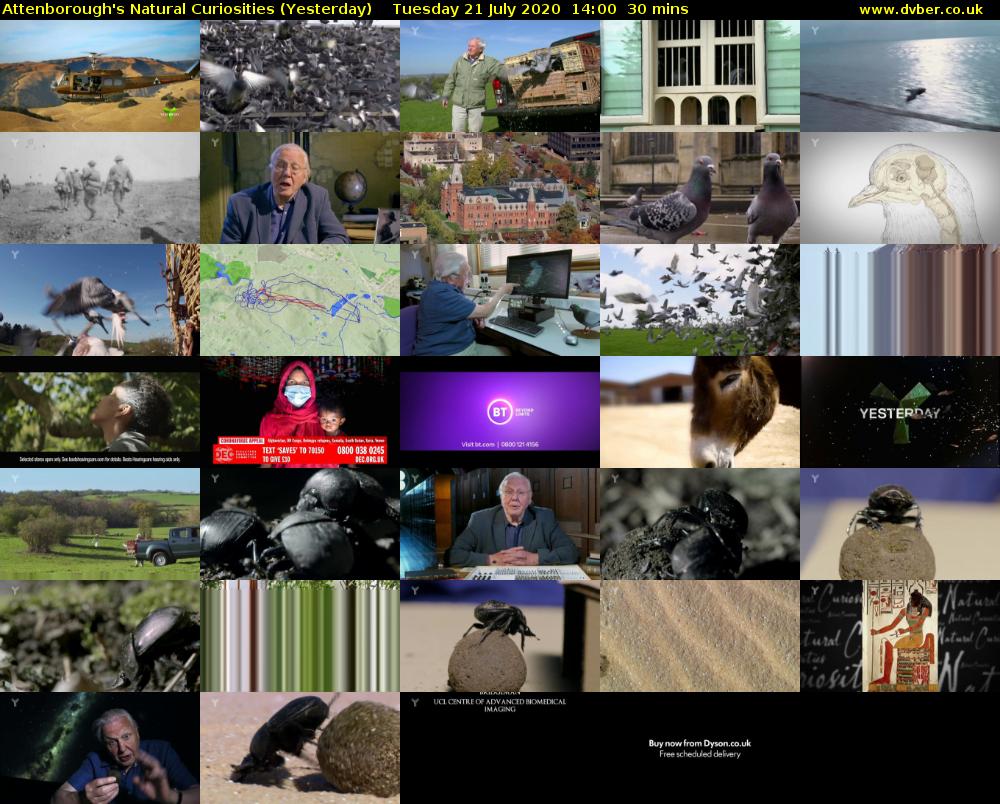 Attenborough's Natural Curiosities (Yesterday) Tuesday 21 July 2020 14:00 - 14:30