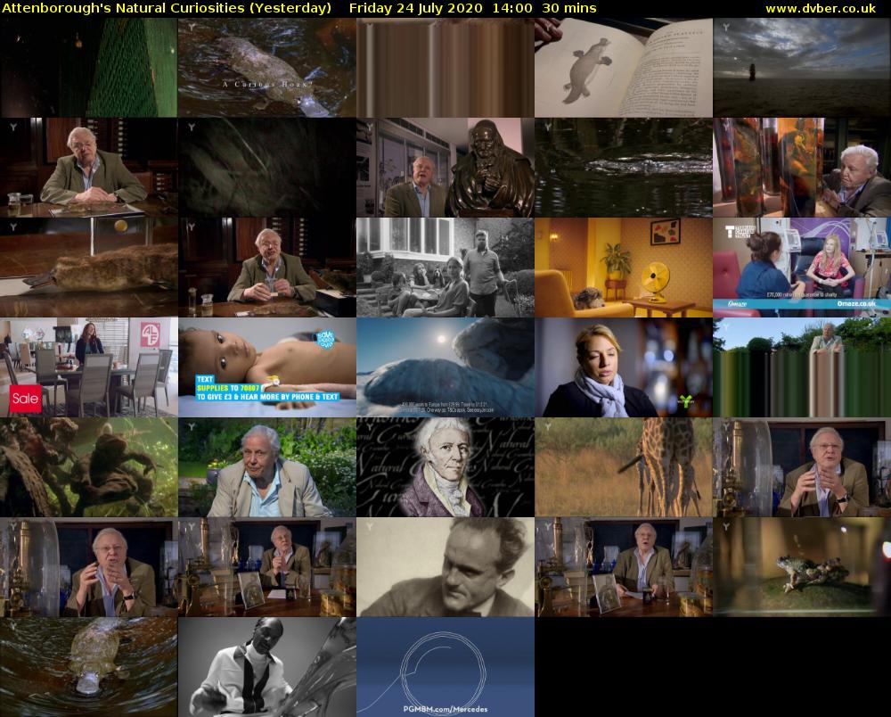 Attenborough's Natural Curiosities (Yesterday) Friday 24 July 2020 14:00 - 14:30