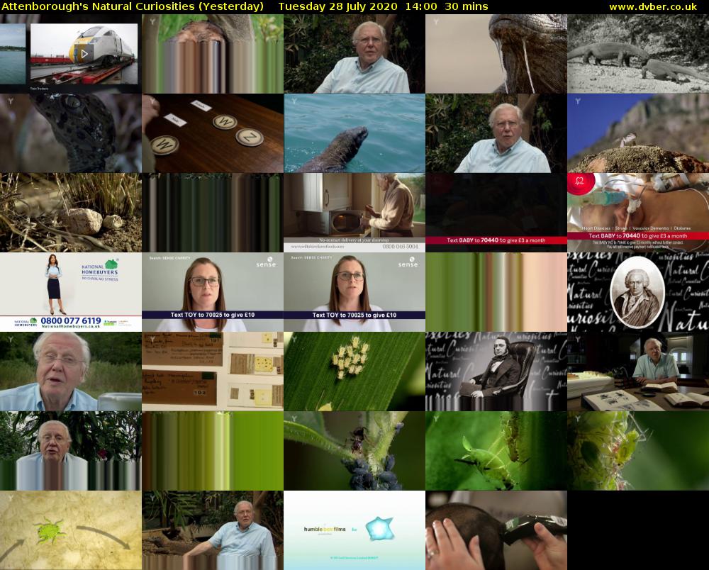 Attenborough's Natural Curiosities (Yesterday) Tuesday 28 July 2020 14:00 - 14:30