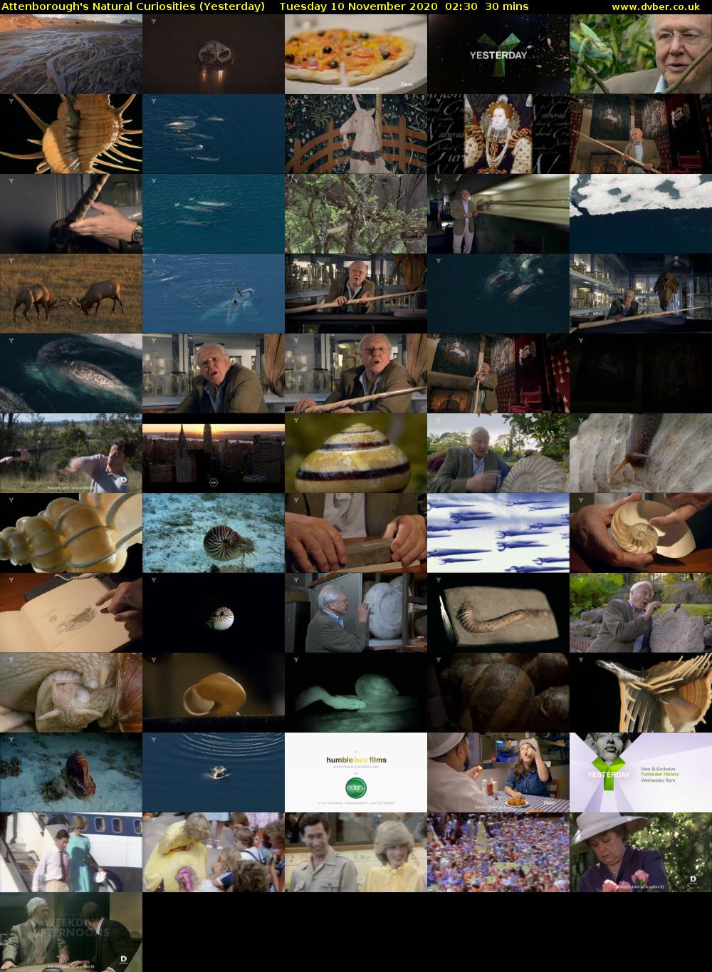Attenborough's Natural Curiosities (Yesterday) Tuesday 10 November 2020 02:30 - 03:00