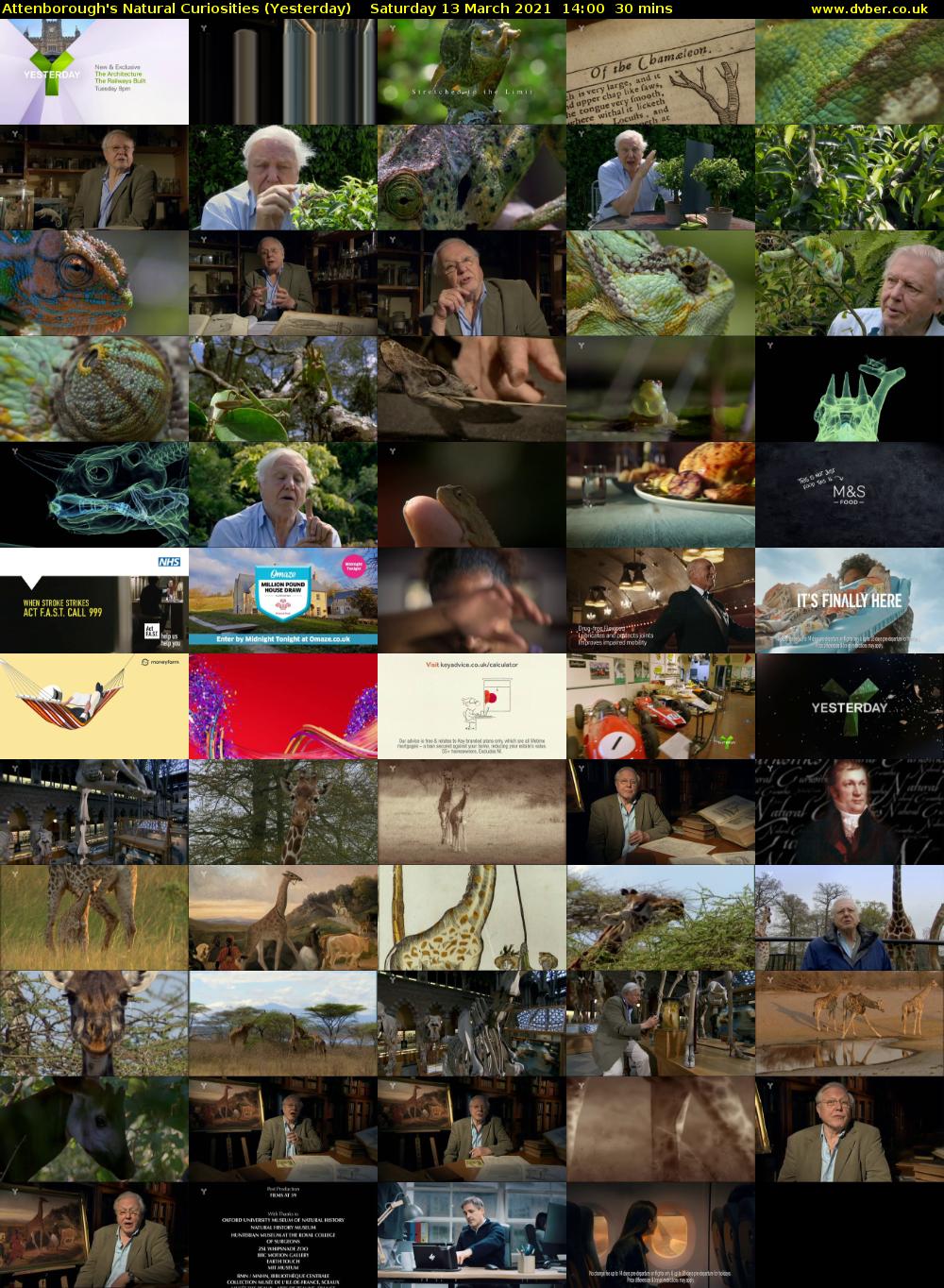Attenborough's Natural Curiosities (Yesterday) Saturday 13 March 2021 14:00 - 14:30