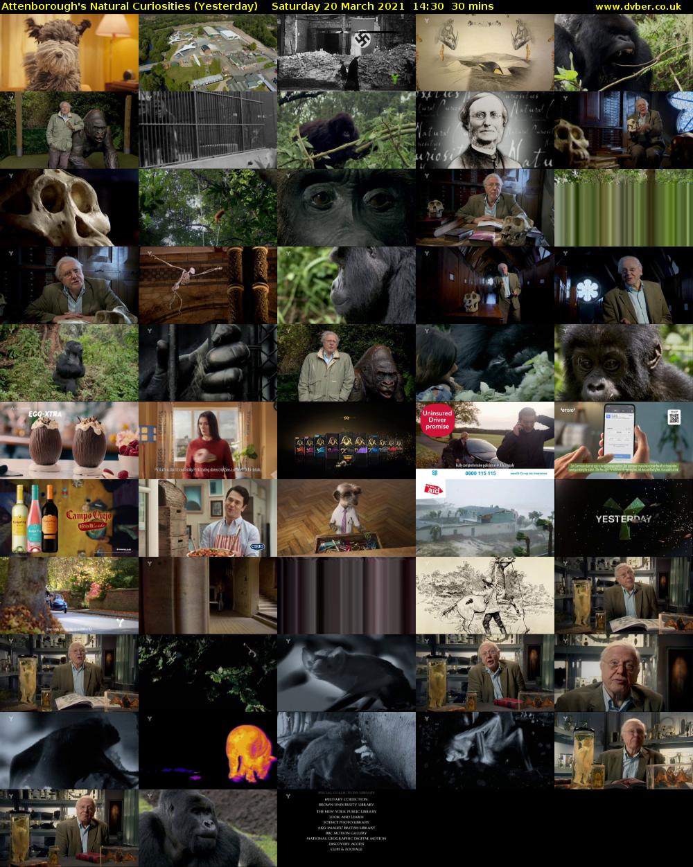 Attenborough's Natural Curiosities (Yesterday) Saturday 20 March 2021 14:30 - 15:00
