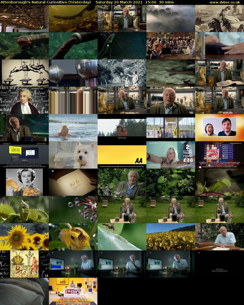 Attenborough's Natural Curiosities (Yesterday) Saturday 20 March 2021 15:00 - 15:30