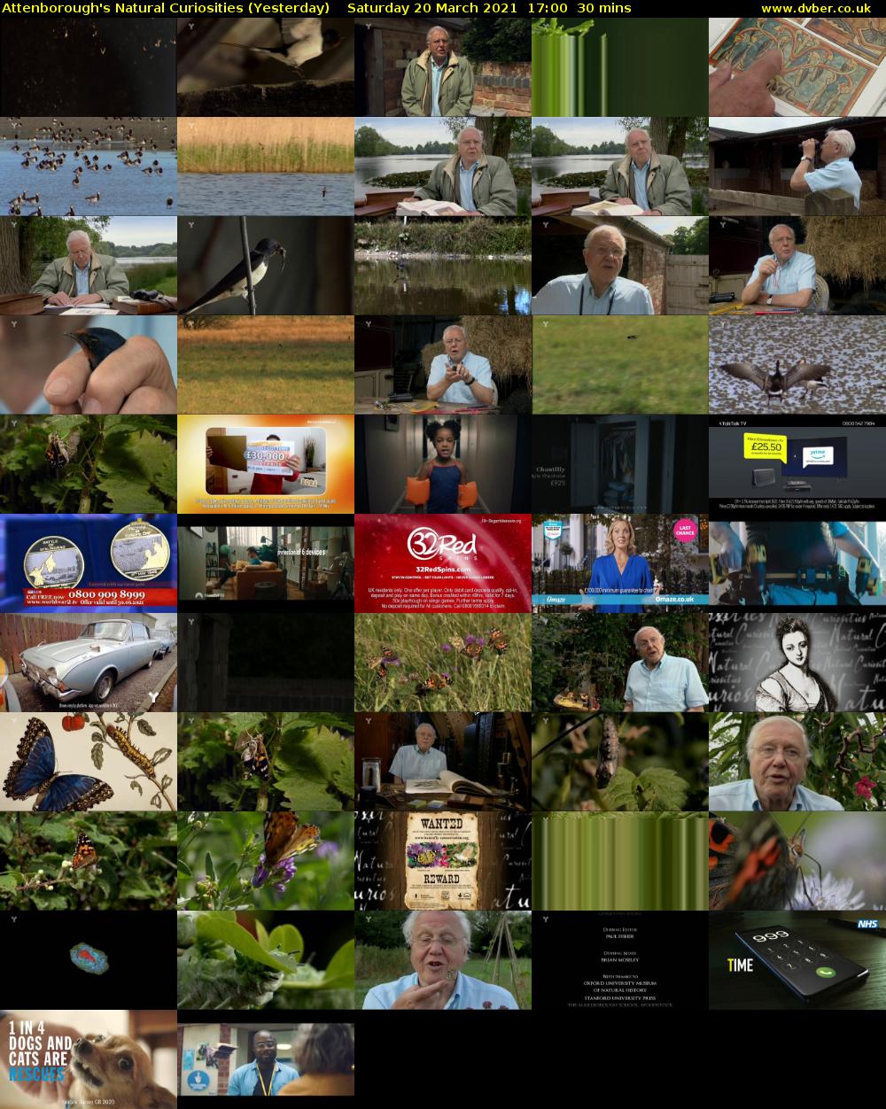 Attenborough's Natural Curiosities (Yesterday) Saturday 20 March 2021 17:00 - 17:30