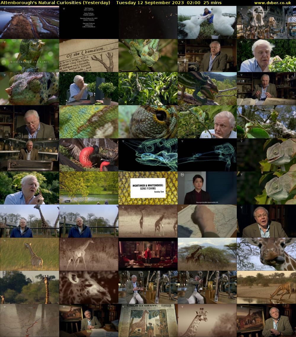 Attenborough's Natural Curiosities (Yesterday) Tuesday 12 September 2023 02:00 - 02:25