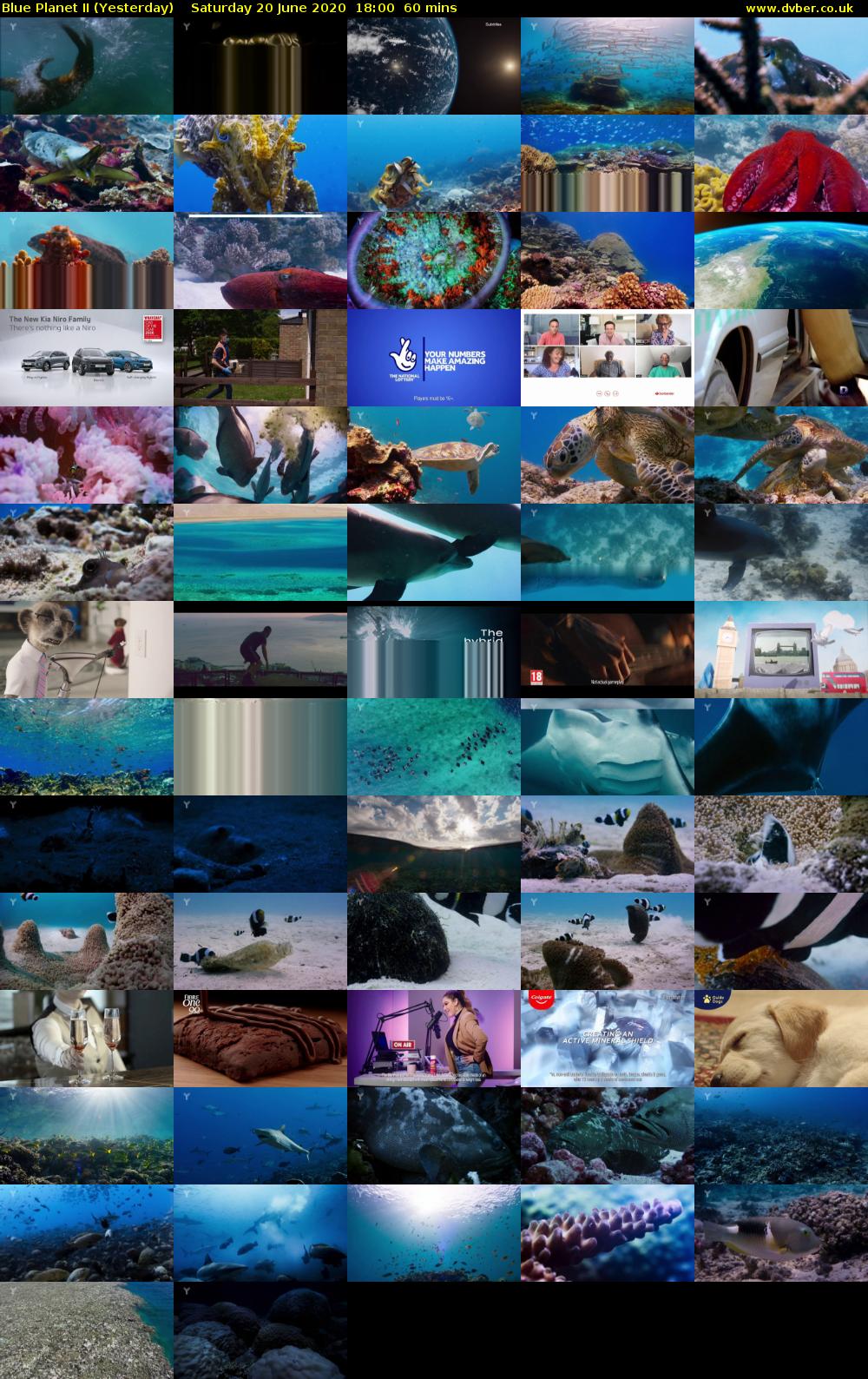 Blue Planet II (Yesterday) Saturday 20 June 2020 18:00 - 19:00