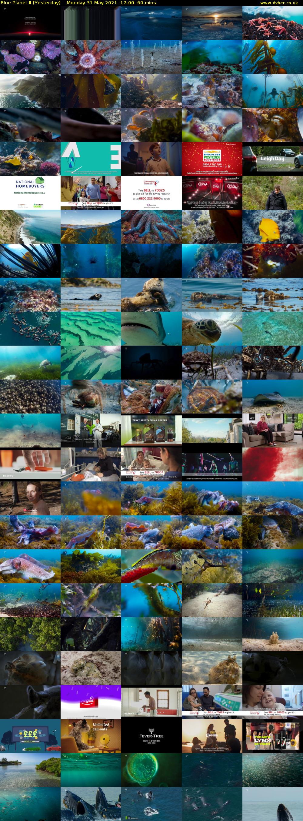 Blue Planet II (Yesterday) Monday 31 May 2021 17:00 - 18:00