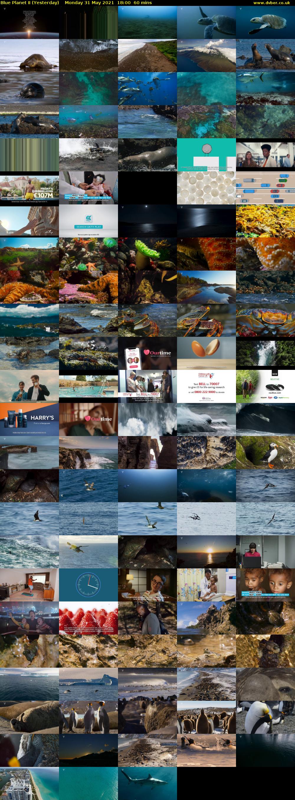 Blue Planet II (Yesterday) Monday 31 May 2021 18:00 - 19:00