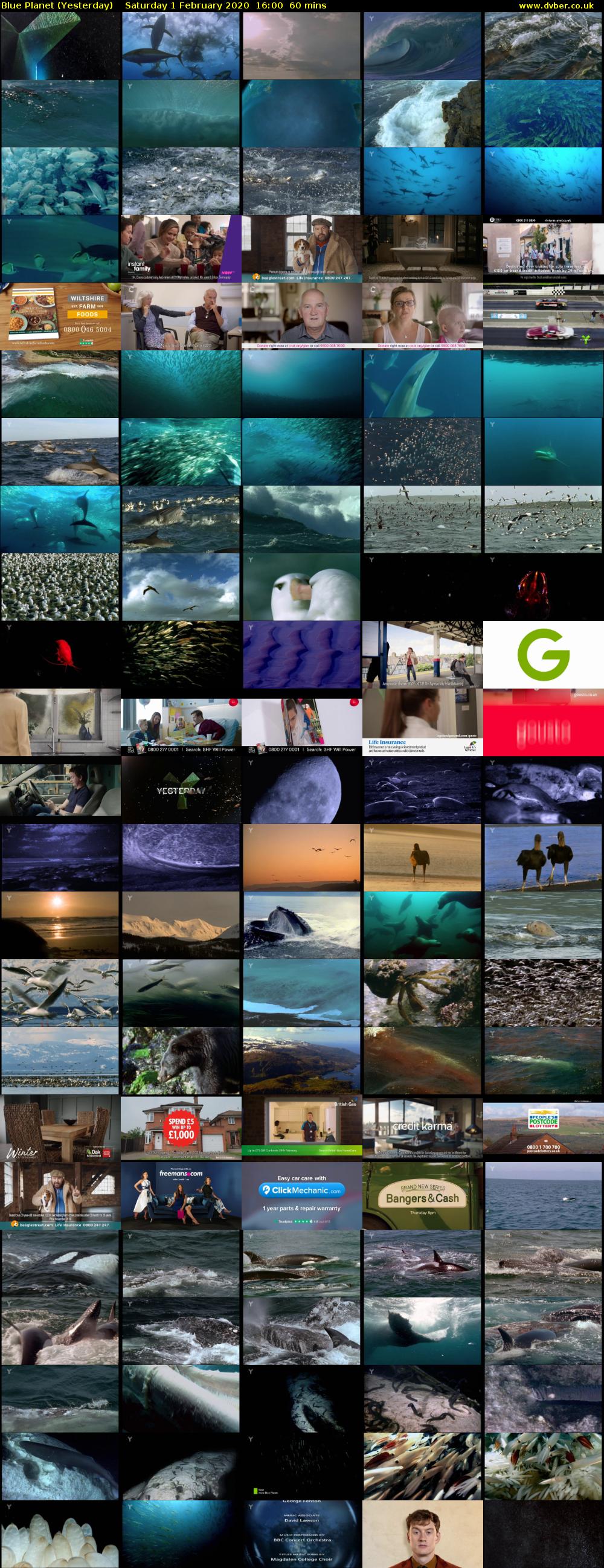 Blue Planet (Yesterday) Saturday 1 February 2020 16:00 - 17:00
