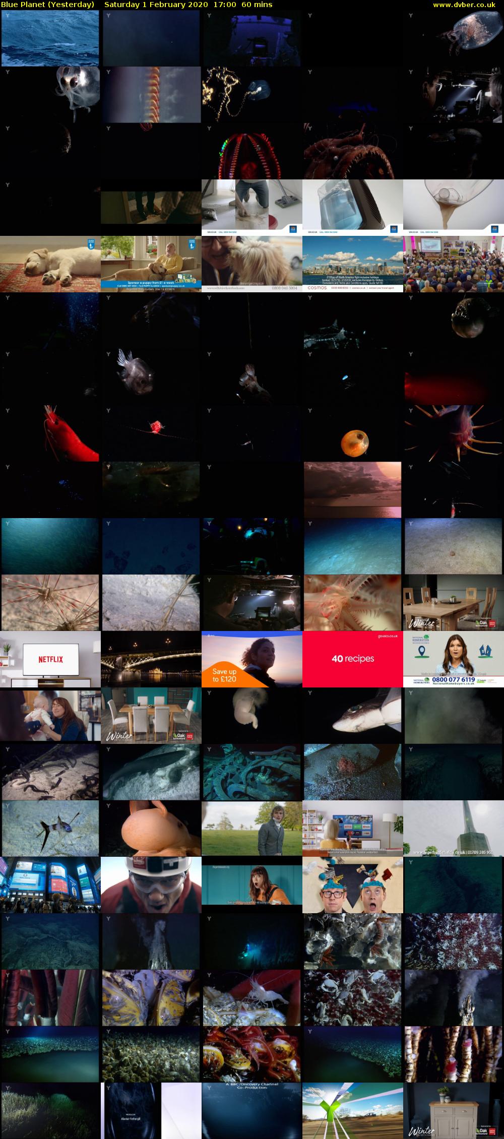Blue Planet (Yesterday) Saturday 1 February 2020 17:00 - 18:00